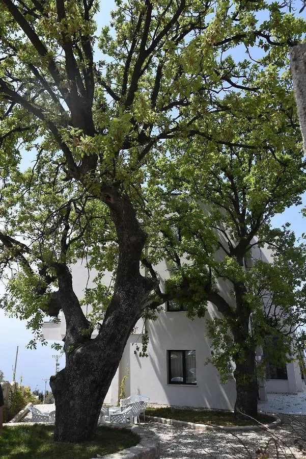 Gogo's Boutique Hotel Dhërmi